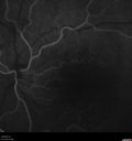 CME_gadup_122619_14.jpg