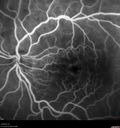 CME_gadup_122619_17.jpg