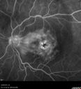 CME_gadup_122619_21.jpg