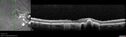 POHS_ancer_061617_09.jpg