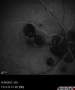 POHS_ancer_061617_13.jpg