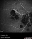 POHS_ancer_061617_14.jpg