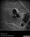 POHS_ancer_061617_15.jpg