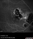 POHS_ancer_061617_16.jpg