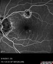 POHS_ancer_061617_19.jpg