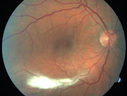 VMT_gero1_120514_01.png