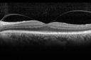 VMT_gero1_120514_07.jpg