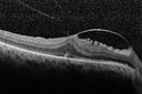 VMT_gero2_011615_10.jpg