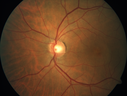 amd-wet-csr_caimb_110819_06.png
