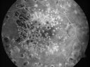 amddrgeographicatropylaser07.jpg