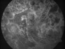 amddrgeographicatropylaser08.jpg