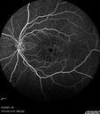 Filename=cme_macon_060523_21.jpg
Filesize=61KiB
Dimensions=768x868
Date added=Jul 03, 2023 cme_macon_060523_21.jpg