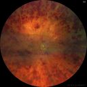 crvo-97822-062623_01.jpg