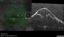 crvo-97822-062623_04.jpg