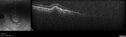 crvo-97822-062623_06.jpg