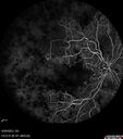 crvo-97822-062623_09.jpg