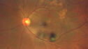ipcv3_072721_dahuy_02.jpg