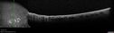 macula-oil-rd-clok-100217~0.jpg