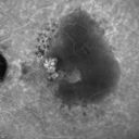 pcv_pulpoly_caga_030714_06.jpg