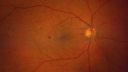 pdr_wasch_120519_01.png