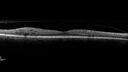 pdr_wasch_120519_04.jpg