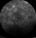 pdr_wasch_120519_08.jpg