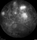 pdr_wasch_120519_10.jpg