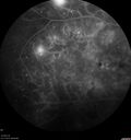 pdr_wasch_120519_11.jpg