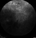 pdr_wasch_120519_12.jpg
