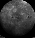 pdr_wasch_120519_13.jpg