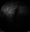 pdr_wasch_120519_14.jpg