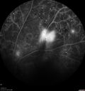pdr_wasch_120519_19.jpg