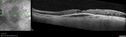 Filename=pedrip_anbri_010323_06.jpg
Filesize=201KiB
Dimensions=2032x596
Date added=Mar 19, 2023 pedrip_anbri_010323_06.jpg