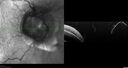 tiltedDisc_ankae_040419_05.jpg