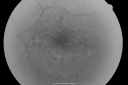 pdr_nve_51677_281029.png