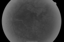 pdr_nve_51677_28829.png
