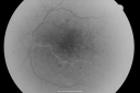 pdr_nve_51677_28929.png