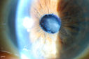 49973_005.JPG