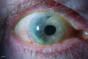 50841_002.JPG
