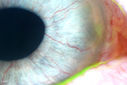 50841_004.JPG