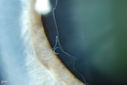 51077_014.JPG