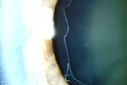 51077_015.JPG