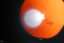 Filename=51199_010.JPG
Filesize=2766KiB
Dimensions=3872x2592
Date added=Mar 28, 2014 51199_010.JPG
