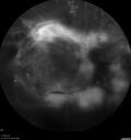 pdr-TRD2_kesel_071719__46.jpg