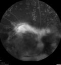 pdr-TRD2_kesel_071719__47.jpg