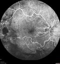 pdr-vh2_brric_020519_15.jpg