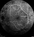 pdr-vh2_brric_020519_16.jpg