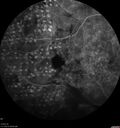 pdr-vh2_brric_020519_18.jpg