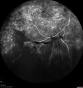 pdr-vh2_brric_020519_19.jpg