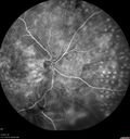 pdr-vh2_brric_020519_20.jpg
